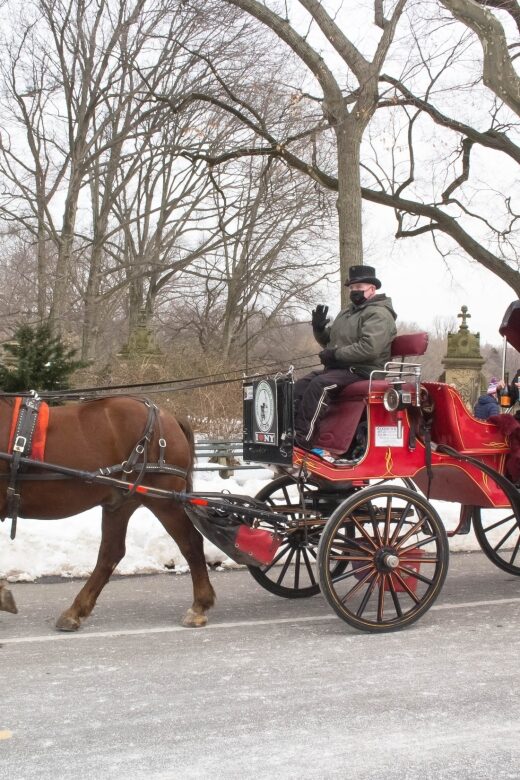 NYC Horse Carriage Ride in Central Park (65 min) - Wollman Rink to Central Park: how the tour sets the pace