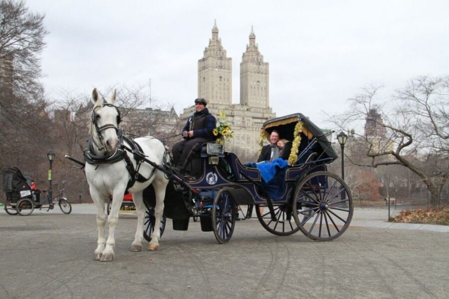 NYC Horse Carriage Ride in Central Park (65 min) - The Dakota and Strawberry Fields: John Lennon’s legacy in motion