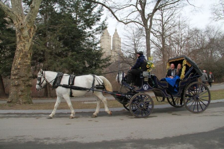 NYC Horse Carriage Ride in Central Park (65 min) - Movie locations, celebrity residences, and the coachman’s Central Park cheat sheet