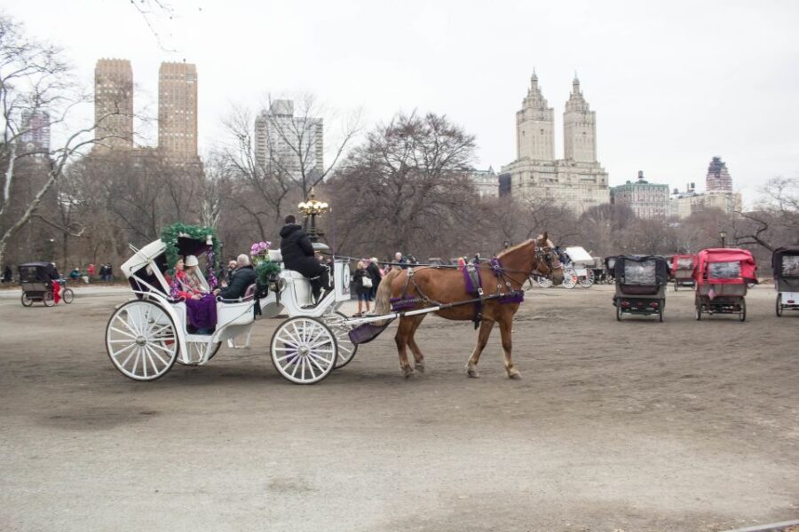 NYC Horse Carriage Ride in Central Park (65 min) - Chess and checkers, carousels, and the park details you might skip