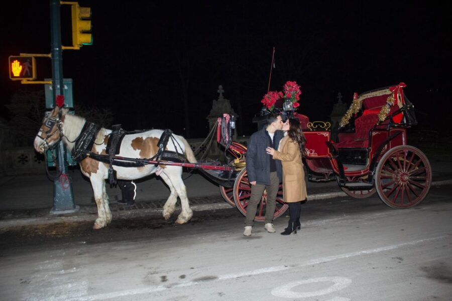 NYC Horse Carriage Ride in Central Park (65 min) - Helping the horses: blankets, treats, and why this part matters