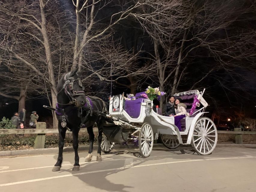 NYC Horse Carriage Ride in Central Park (65 min) - Where You Meet and How Early to Arrive by the NY Athletic Club
