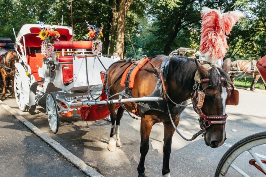 NYC MAGICAL NIGHT TIME RIDE Central Park/Rockefeller Center - Fifth Avenue Icons: Plaza Hotel, Bergdorf Goodman, Saks, and More