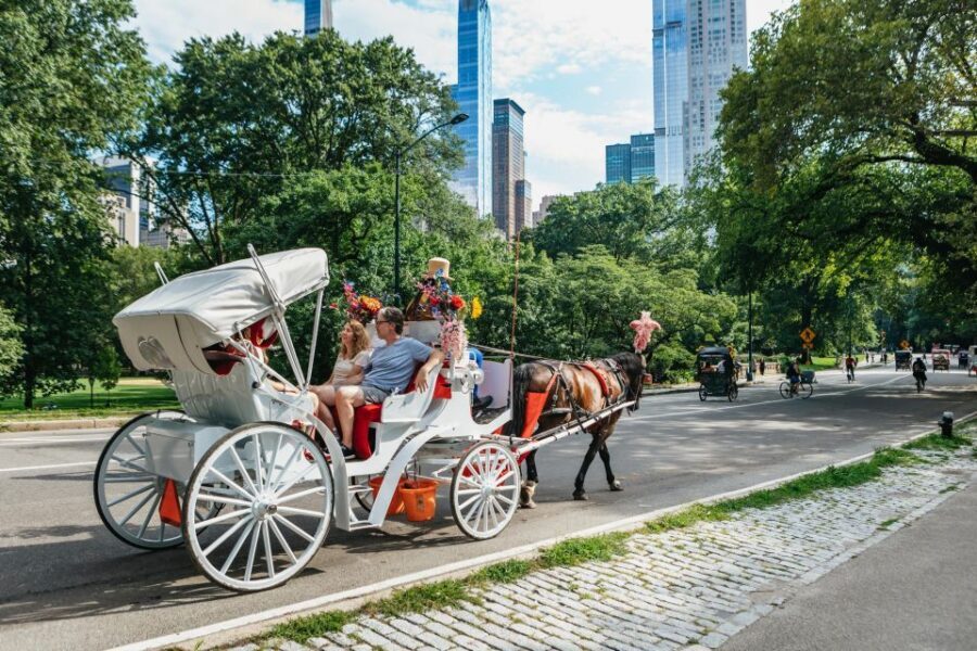 NYC MAGICAL NIGHT TIME RIDE Central Park/Rockefeller Center - Timing, Comfort, and What 45 Minutes Really Means