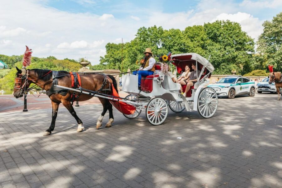 NYC MAGICAL NIGHT TIME RIDE Central Park/Rockefeller Center - Price and Value: When $230 for Up to 4 Makes Sense