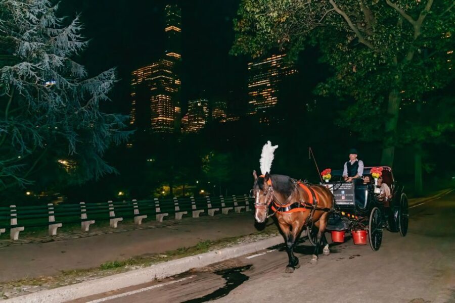NYC MOONLIGHT HORSE CARRIAGE RIDE through Central Park - Central Park South starting point: what the 45 minutes really means