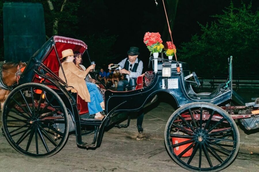 NYC MOONLIGHT HORSE CARRIAGE RIDE through Central Park - Comfort and guide style: what can go right, and what to watch