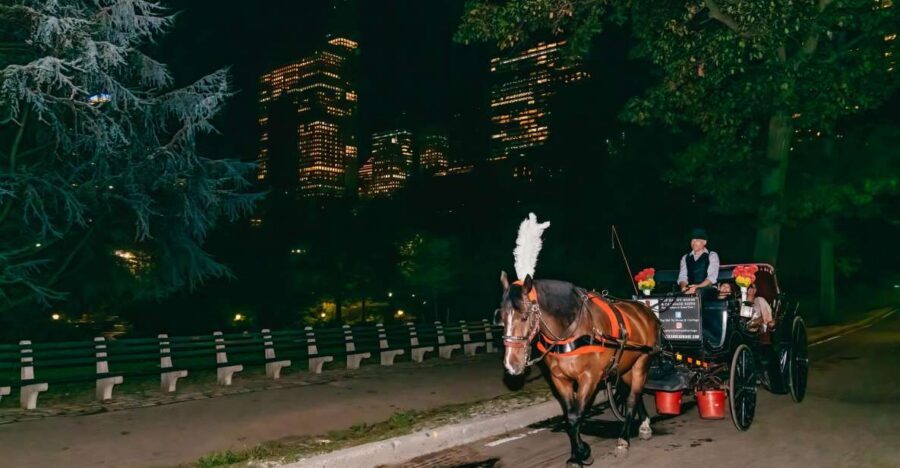 NYC MOONLIGHT HORSE CARRIAGE RIDE through Central Park - Wollman Rink, Chess & Checkers House, and the quiet-core stops