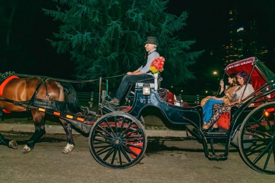 NYC MOONLIGHT HORSE CARRIAGE RIDE through Central Park - Sheep Meadow, The Mall & Literary Walk, and Central Park’s open-air feeling