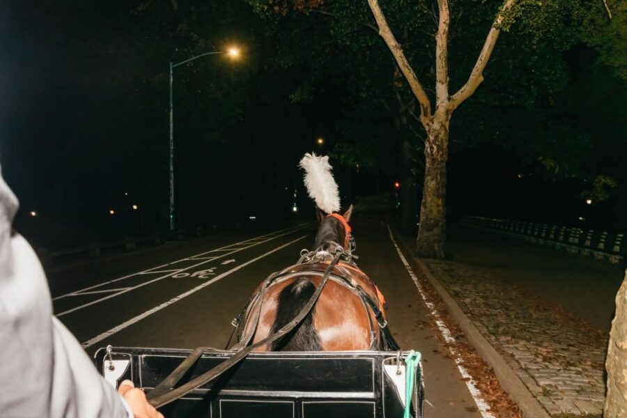 NYC MOONLIGHT HORSE CARRIAGE RIDE through Central Park - Bethesda Terrace, Cherry Hill, Bow Bridge, and the Dakota area