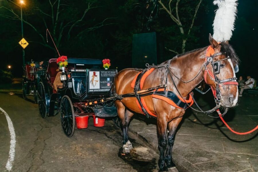 NYC MOONLIGHT HORSE CARRIAGE RIDE through Central Park - Tavern on the Green, plus the return loop rhythm