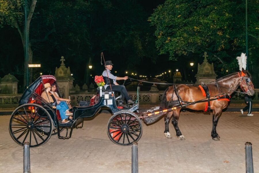 NYC MOONLIGHT HORSE CARRIAGE RIDE through Central Park - Where you’ll ride: the Southeast corner loop built for night photos