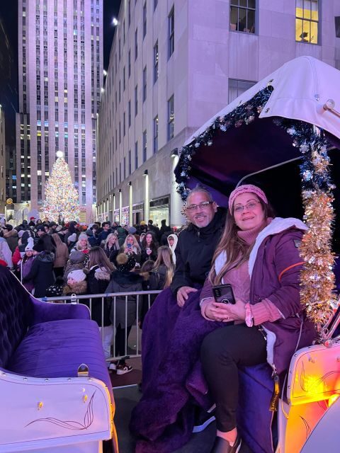 NYC: Private Central Park and NYC City Tour - Wollman ice rink and the Carousel: playful stops that break the formality