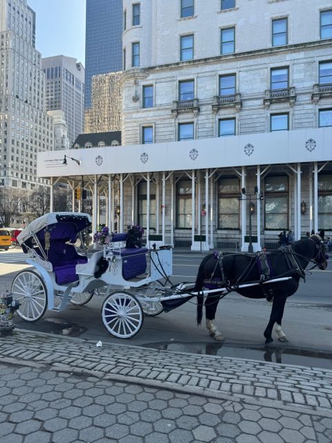 NYC: Private Central Park and NYC City Tour - Price and value: $193 per group up to 4 people