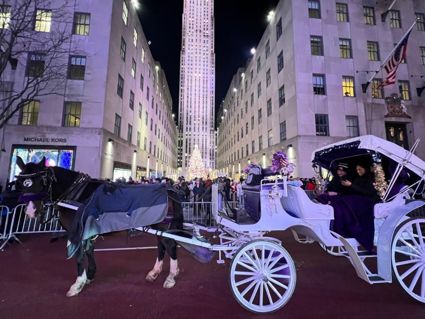 NYC: Private Central Park and NYC City Tour - One-hour private carriage tour: slow pace, big payoff