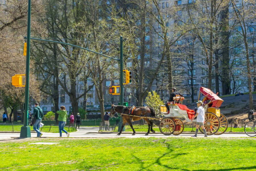 NYC Private Central Park Horse Carriage Ride with Guide - Key highlights you’ll feel right away