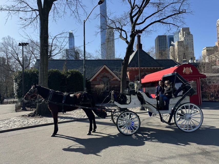 NYC Private Central Park Horse Carriage Ride with Guide - Guide quality matters: Erdem, Avci, and what to watch for