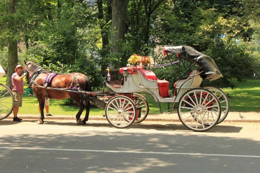 NYC Private Central Park Horse Carriage Ride with Guide - Why this Central Park horse carriage ride is such an easy win
