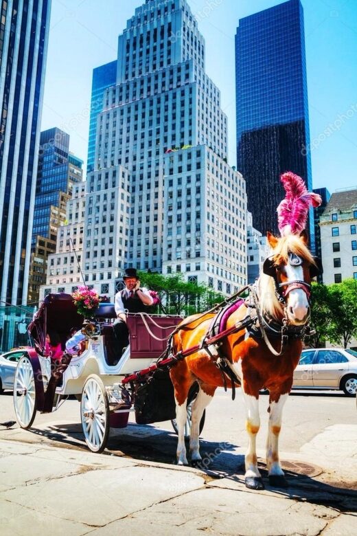 NYC Private Central Park Horse Carriage Ride with Guide - The route you’ll cover in 25 to 55 minutes