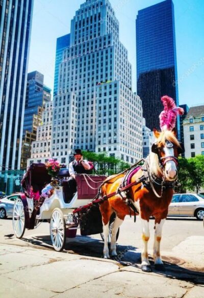 NYC: Private Central Park Horse Carriage Ride with Guide - Meeting at 200 Central Park S: keep it easy and on time