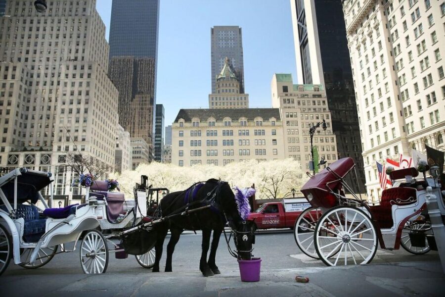 NYC Private Central Park Horse Carriage Ride with Guide - Bethesda Terrace staircases and fountain views: the big payoff