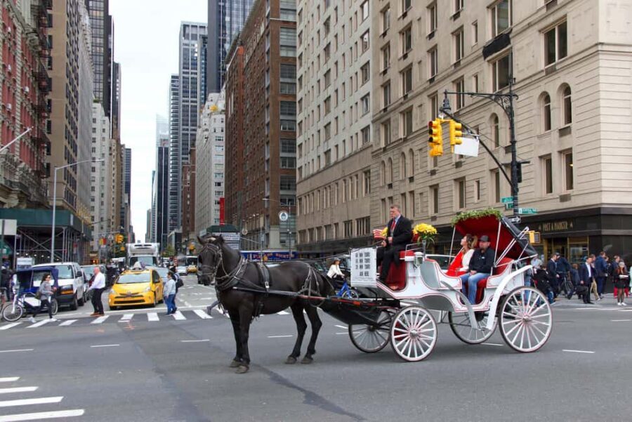NYC Private Central Park Horse Carriage Ride with Guide - Cherry Hill and the kind of photo stop that actually helps