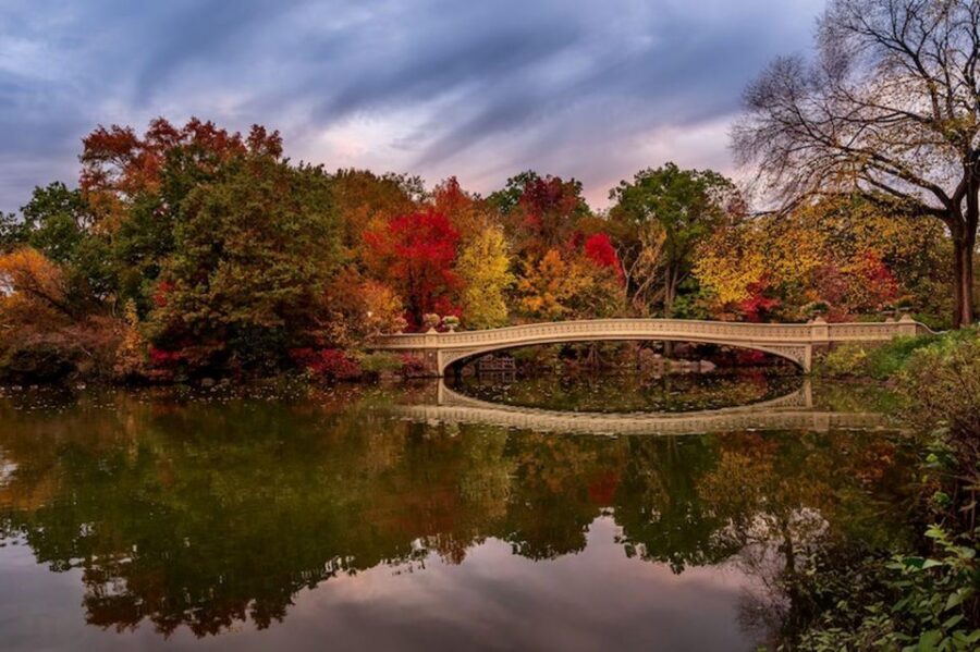 NYC Private Central Park Horse Carriage Ride with Guide - Balto, Loeb Boathouse, and the park icons you’ll recognize fast