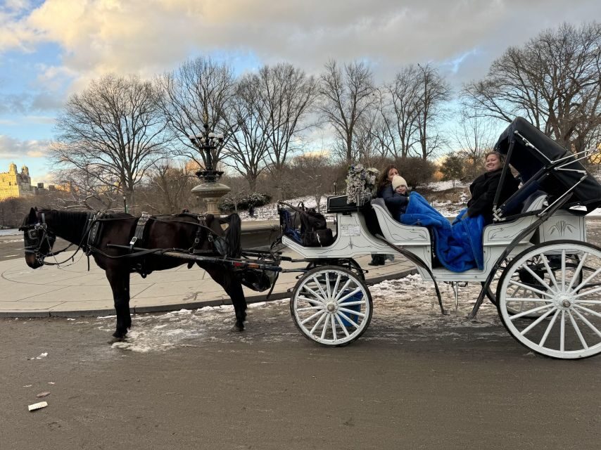 NYC Private Central Park Horse Carriage Ride with Guide - Price and value: what $13 per group really means