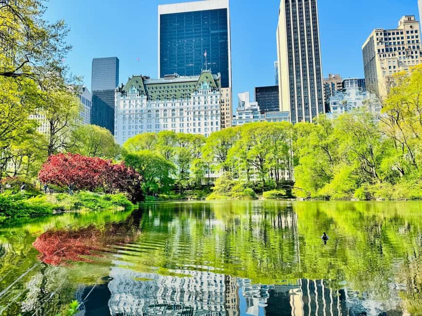 NYC: Private Central Park Pedicab Tours / PICKUP FROM MUSEUM - From the Natural History Museum: instant Central Park access