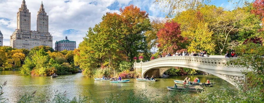 NYC: Private Central Park Tour - From Central Park Carousel to Gapstow Bridge: quick sights that set the tone