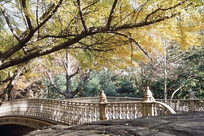 Official Central Park Walking Tour - Walking under the American elms along the Mall
