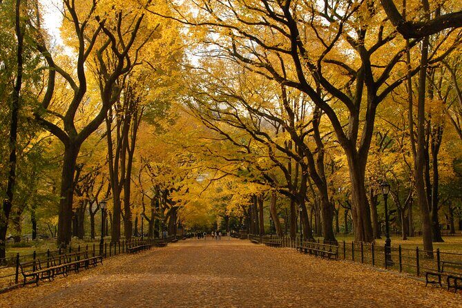 Official Central Park Walking Tour - What you learn about the park’s transformation from rocky and swampy land