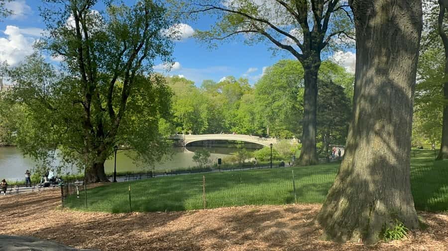 Official Exclusive VIP Horse Carriage Ride in Central Park - Key highlights worth planning for