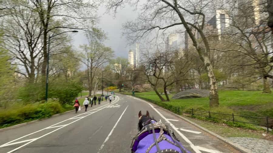 Official Exclusive VIP Horse Carriage Ride in Central Park - Your 45-Minute Shortcut Through Central Park’s Best Sights