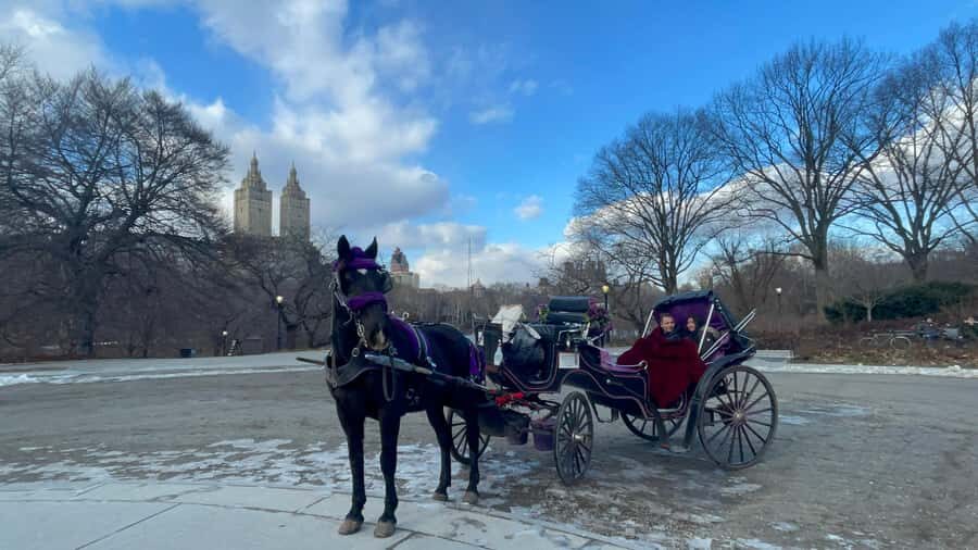 Official Exclusive VIP Horse Carriage Ride in Central Park - The Route: Wollman Rink, Chess & Checkers House, Carousel, and The Dairy
