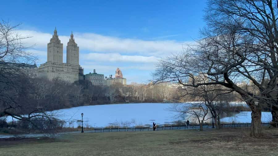 Official Exclusive VIP Horse Carriage Ride in Central Park - Price and Value: What $195 per Group Really Buys