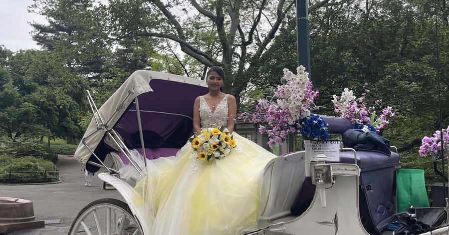 Official Exclusive VIP Horse Carriage Ride in Central Park - Meeting Point at 7th Ave & West 59th: Quick and Clear Start