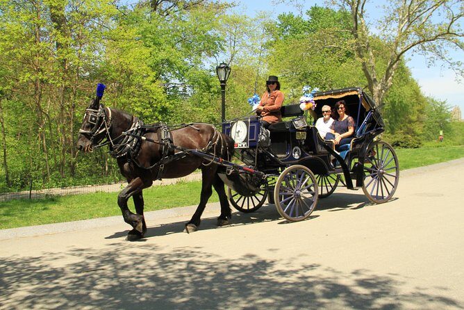Official NYC Horse Carriage Rides in Central Park since 1979 ™ - Key things to know before you go