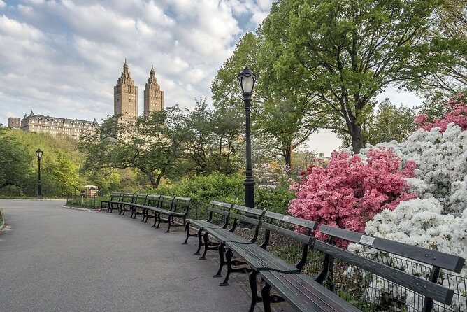 Official NYC Horse Carriage Rides in Central Park since 1979 ™ - Cherry Hill and Bow Bridge: the classic photo arc