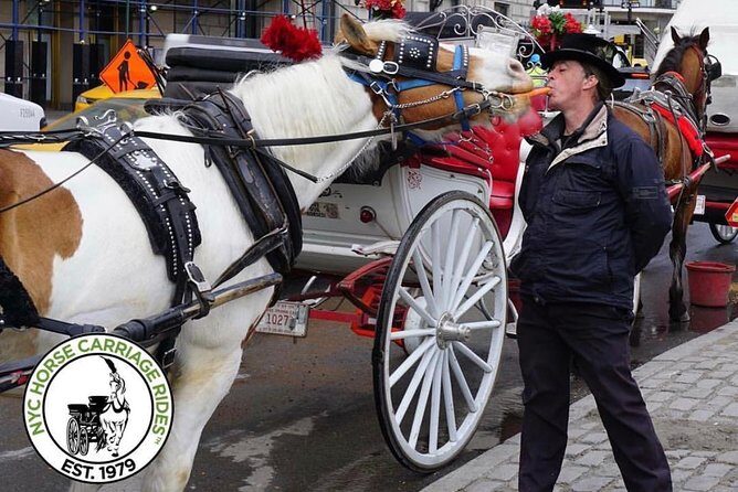 Official NYC Horse Carriage Rides in Central Park since 1979 ™ - Price and value: $99 per group up to 4 can be fair or painful