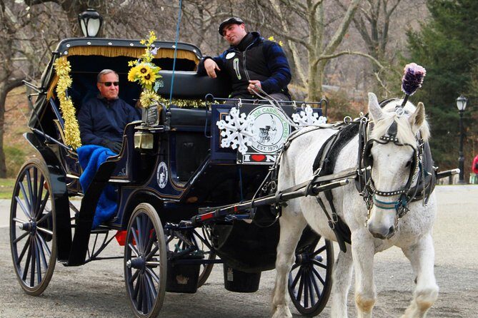 Official NYC Horse Carriage Rides in Central Park since 1979 ™ - Guides, horses, and the little details that make it feel real