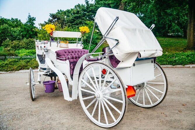 Official Private New York City Central Park Horse Carriage Ride Since 1965™ - The driver’s job: why the storytelling makes the ride feel longer