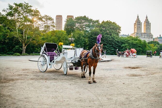 Official Private New York City Central Park Horse Carriage Ride Since 1965™ - Best timing: visibility earlier, romance later