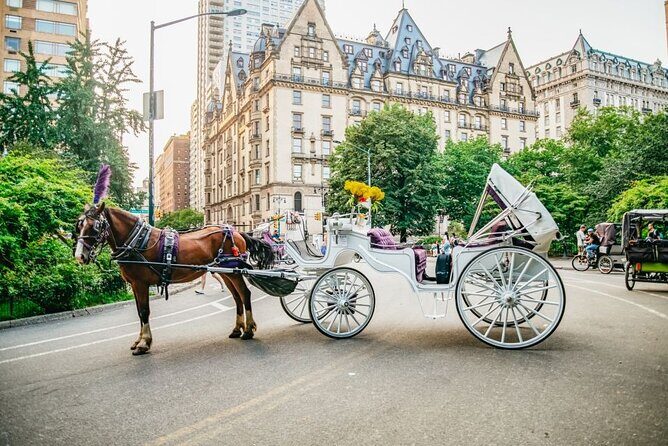 Official Private New York City Central Park Horse Carriage Ride Since 1965™ - Horse welfare and allergies: what to think about before booking