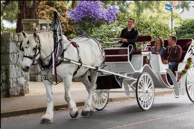 Official Private NYC Central Park Horse Carriage Ride Since 1970™ - Price, ride length, and what you get for your money