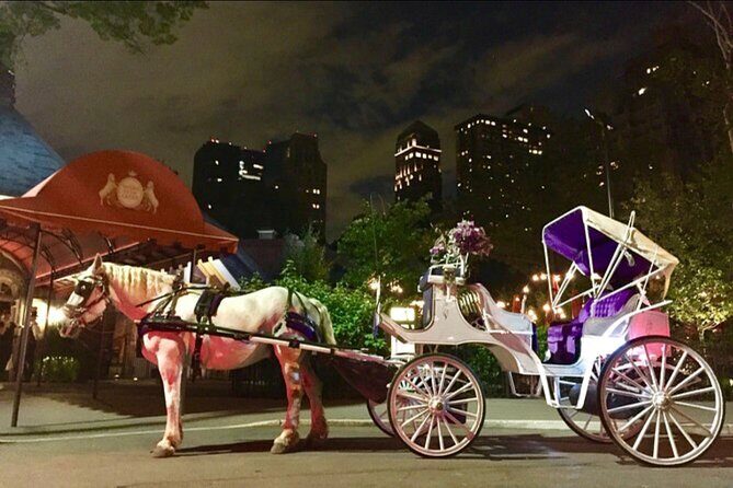 Official Private NYC Central Park Horse Carriage Ride Since 1970™ - Carousel, Chess & Checkers, and the Dairy: what you might see