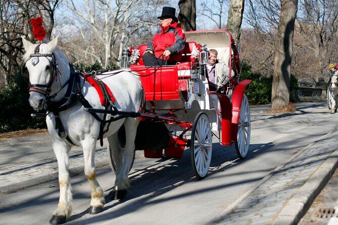Official Private NYC Central Park Horse Carriage Ride Since 1970™ - Bethesda Terrace and the fountain stop that sets the tone