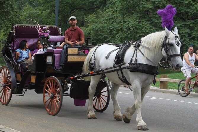 Official Private NYC Central Park Horse Carriage Ride Since 1970™ - Cherry Hill: horse feeding and pictures you’ll actually use