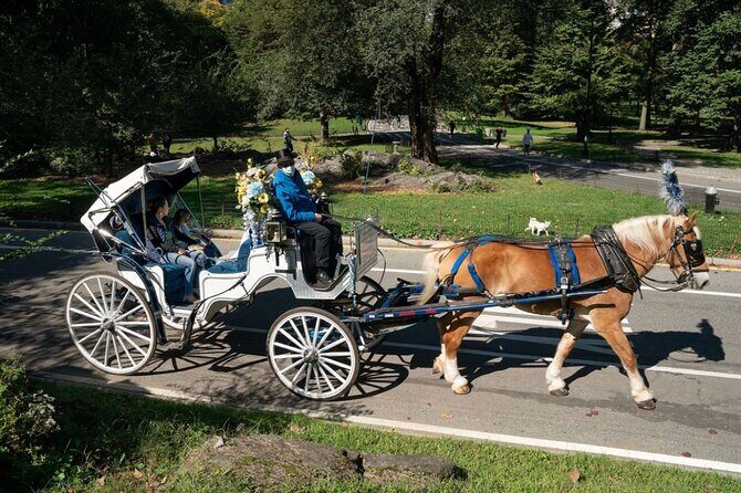Official Private NYC Central Park Horse Carriage Ride Since 1970™ - Balto and Rumsey Playfield: the extra standard-route history hits