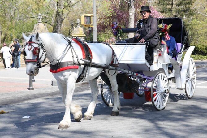 Official Private NYC Central Park Horse Carriage Ride Since 1970™ - Meeting point at 200 Central Park S